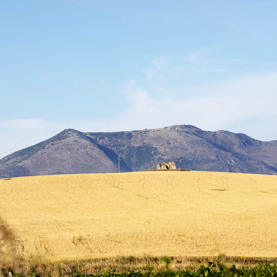 Engagement  Photoshoot Photographer Trapani